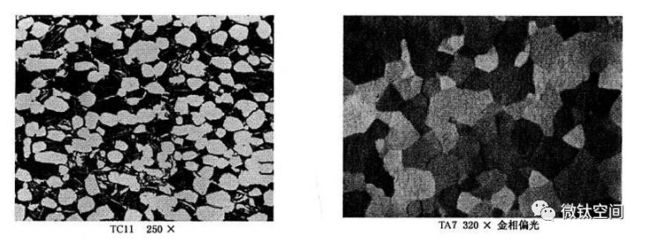 钛及钛合金金相术语及图谱——α相详解